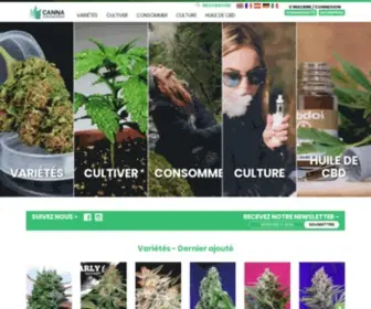 Cannaconnection.fr(Informations sur le cannabis) Screenshot
