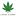 Cannanation.store Favicon