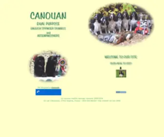 Canouan.co.uk(Canouan English Springers and Affenpinschers in France) Screenshot