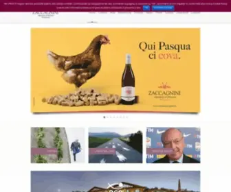 Cantinazaccagnini.it(//zaccagnini wines//) Screenshot