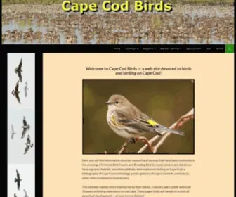 Capecodbirds.org(Cape Cod Birds) Screenshot