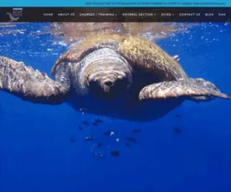 Capetowndivecentre.com(Cape Town Dive Centre) Screenshot