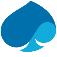 Capgemini-Consulting.com Logo
