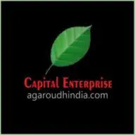 Capitalenterprisesindia.com Favicon