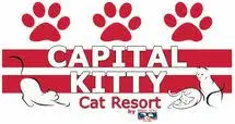 Capitalkittycatresort.com Favicon