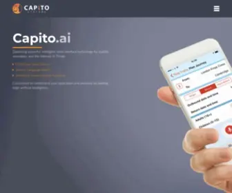 Capitosystems.com(Capito) Screenshot
