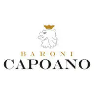 Capoano.it Favicon