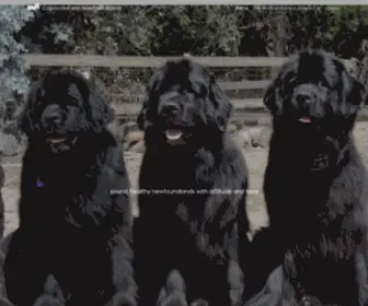 Capricciofarmnewfs.com(Sound, healthy newfoundlands with attitude and type) Screenshot