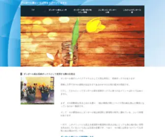 Capsil.org(ダンボール箱) Screenshot