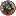 Captainvans.com Favicon