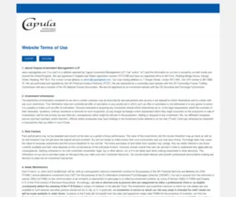 CapulaGlobal.com(Driven by performance) Screenshot