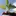 Caraleemath.com Favicon