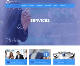 Carapace.com(Carapace, Inc) Screenshot