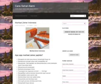 Carasehatalami.com(Cara Sehat Alami) Screenshot