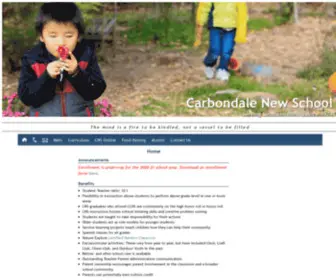 Carbondalenewschool.com(Carbondale New School) Screenshot