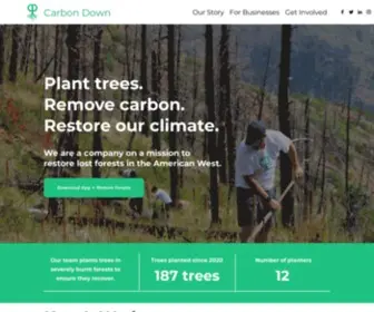 Carbondownapp.com(Carbon Down) Screenshot