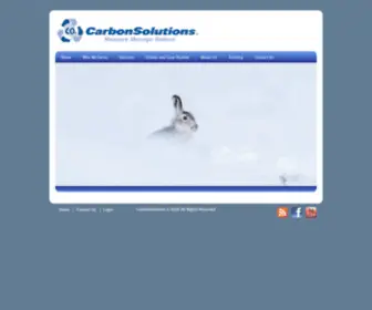 Carbonsolutions.com(Greenhouse Gas Management Services Since 1998) Screenshot