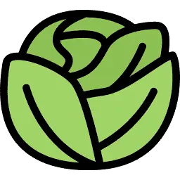 Carcabbage.com Favicon