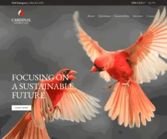 Cardinalenergy.ca(Focusing on a Sustainable Future) Screenshot