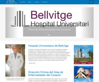 Cardiologiabellvitge.cat(Àrea de Malalties del Cor del Hospital de Bellvitge) Screenshot