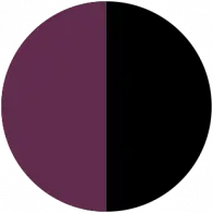 Careerpros.com Favicon