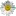 Carefreemedium.com Favicon