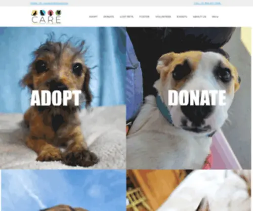 Carejeffcounty.com(Companion Animal Rescue and Education) Screenshot