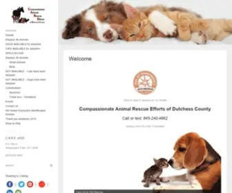 Careofdc.org(Compassionate Animal Rescue Efforts of Dutchess County) Screenshot