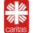 Caritas-Suedniedersachsen.de Logo