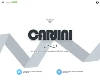 Carjini.com(Used cars) Screenshot