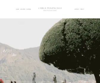 Carlapenoncelli.com(Contemporary boutique wedding photography) Screenshot