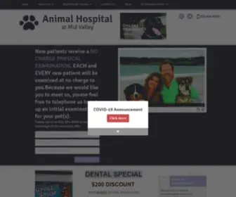 Carmeldvm.com(Animal Hospital at Mid Valley) Screenshot