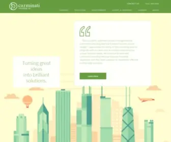 Carminaticonsulting.com(Carminati Consulting) Screenshot