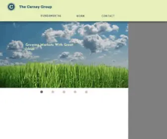 Carney.com(The Carney Group) Screenshot