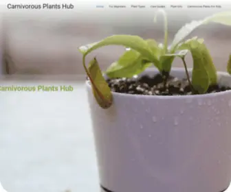 Carnivorousplantshub.com(Carnivorous Plants Hub) Screenshot