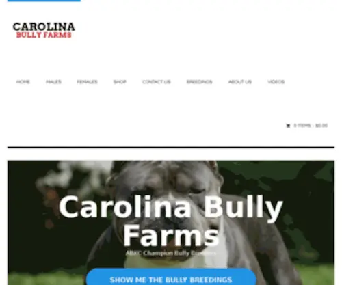 Carolinabullyfarms.com(Carolinabullyfarms) Screenshot