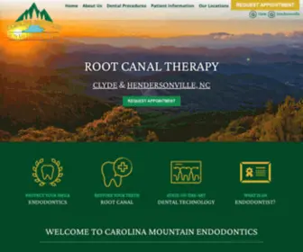 Carolinamountainendo.com(Carolina Mountain Endo) Screenshot