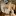 CarolynmcGee.com Favicon