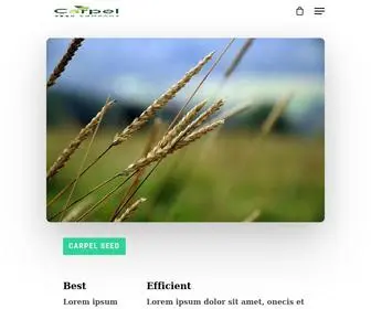 Carpelseed.com(Carpel Seed Landing) Screenshot