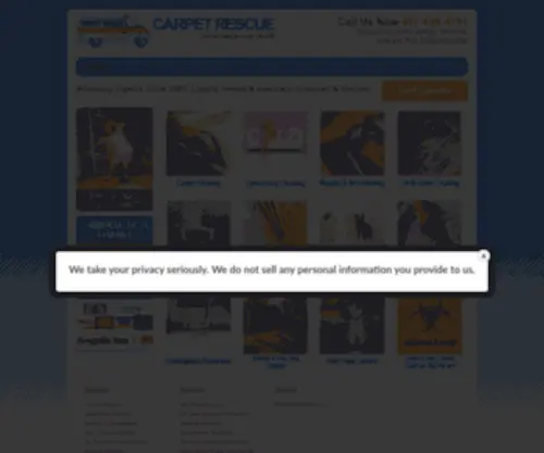 Carpetrescueservices.com(Carpet Rescue) Screenshot