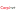 Carpinet.it Favicon