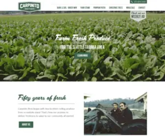 Carpinito.com(Carpinito Bros) Screenshot