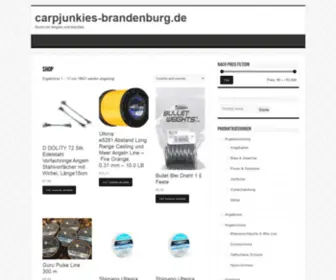 Carpjunkies-Brandenburg.de(D DOLITY 72 Stk. Edelstahl Vorfachringe Angeln Stahlvorfächer mit Wirbel) Screenshot