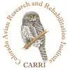 Carriep.org Logo