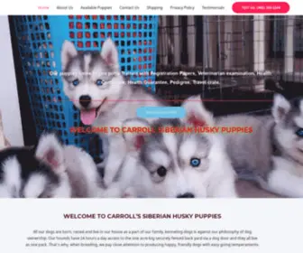 Carrollsiberianhuskypuppies.com(For Sale) Screenshot