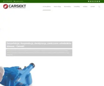 Carsekt.pl(Carsekt Sp z o.o) Screenshot
