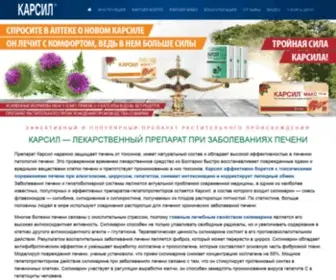 Carsil.ru(Карсил) Screenshot