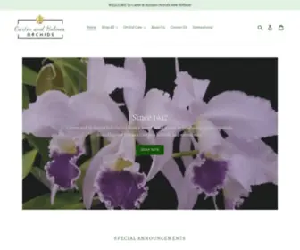 Carter-AND-Holmes.com(Selling Quality Orchids Since 1947. Carter and Holmes Orchids) Screenshot
