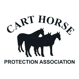 Carthorse.org.za Logo