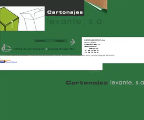 Cartonajeslevante.com(Cartonajeslevante) Screenshot